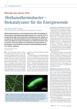 Methanothermobacter – Biokatalysator Für Die Energiewende