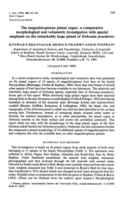 The Megachiropteran Pineal Organ: a Comparative Morphological and Volumetric Investigation with Special Emphasis on the Remarkably Large Pineal of Dobsonia Praedatrix