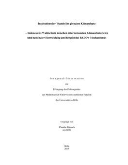 Institutioneller Wandel Im Globalen Klimaschutz