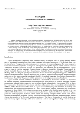 Marigold a Potential Ornamental Plant Drug