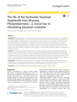 The Life of the Freshwater Bryozoan Stephanella Hina (Bryozoa, Phylactolaemata)