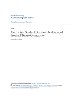 Mechanistic Study of Diatrizoic Acid Induced Proximal Tubule Cytotoxicity Dakota Blake Ward