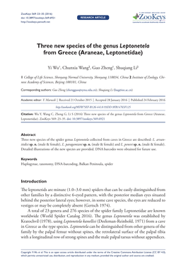 ﻿Three New Species of the Genus Leptonetela from Greece (Araneae, Leptonetidae)