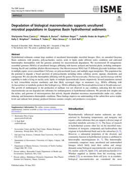 Degradation of Biological Macromolecules Supports Uncultured Microbial Populations in Guaymas Basin Hydrothermal Sediments