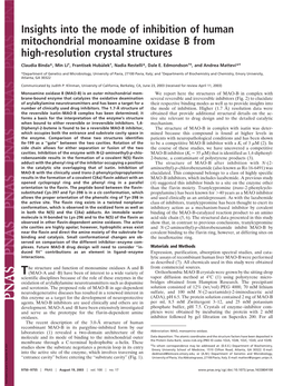 Insights Into the Mode of Inhibition of Human Mitochondrial Monoamine Oxidase B from High-Resolution Crystal Structures