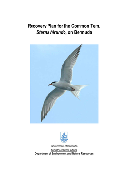 Common Tern Recovery Plan