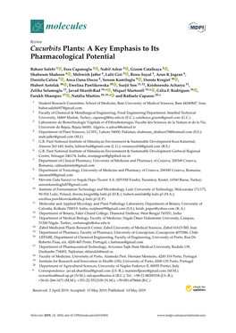 Cucurbits Plants: a Key Emphasis to Its Pharmacological Potential