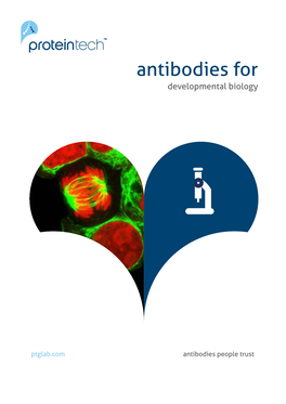 Antibodies for Developmental Biology