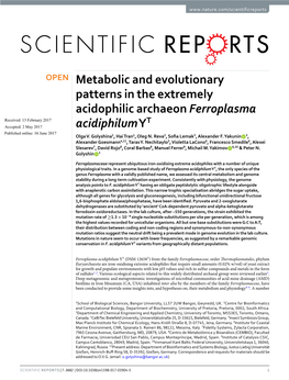 Metabolic and Evolutionary Patterns in the Extremely Acidophilic Archaeon