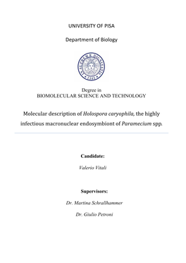 Holospora Caryophila, the Highly Infectious Macronuclear Endosymbiont of Paramecium Spp