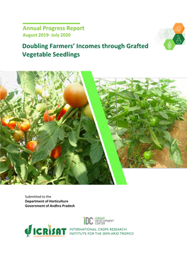 Doubling Farmers' Incomes Through Grafted Vegetable Seedlings