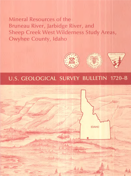 Mineral Resources of the Bruneau River, Jarbidge River, and Sheep Creek West Wilderness Study Areas, Owyhee County, Idaho