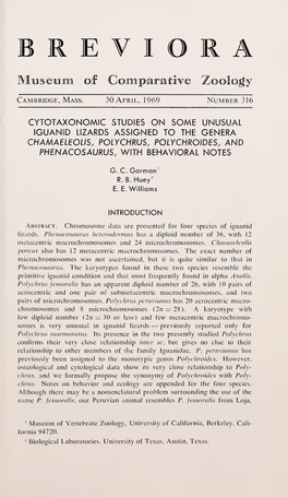 Cytotaxonomic Studies on Some Unusual Iguanid Lizards Assigned to the Genera Chamaeleous, Polychrus, Polychroides, and Phenacosaurus, with Behavioral Notes