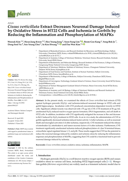 Cissus Verticillata Extract Decreases Neuronal Damage Induced By