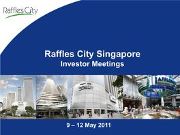 Raffles City Singapore Investor Meetings