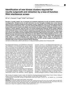 Identification of New Kinase Clusters Required for Neurite Outgrowth And