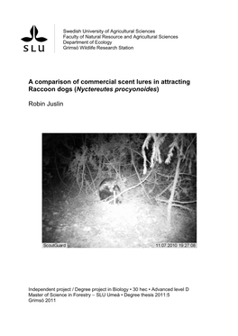 A Comparison of Commercial Scent Lures in Attracting Raccoon Dogs (Nyctereutes Procyonoides)