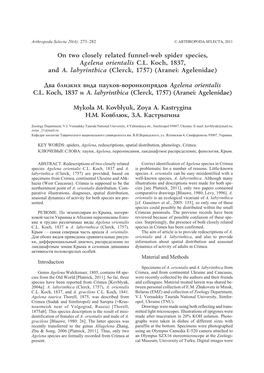 20 4 273 282 Kovblyuk Agelena for Inet.P65