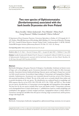 Two New Species of Ophiostomatales (Sordariomycetes) Associated with the Bark Beetle Dryocoetes Alni from Poland