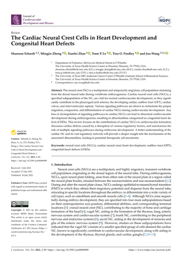 The Cardiac Neural Crest Cells in Heart Development and Congenital Heart Defects