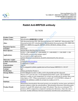 Rabbit Anti-MRPS28 Antibody-SL17825R