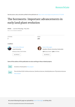 The Hornworts: Important Advancements in Early Land Plant Evolution