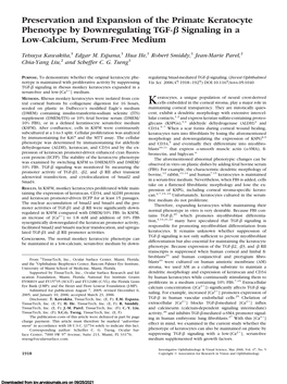 Preservation and Expansion of the Primate Keratocyte Phenotype by Downregulating TGF-␤ Signaling in a Low-Calcium, Serum-Free Medium