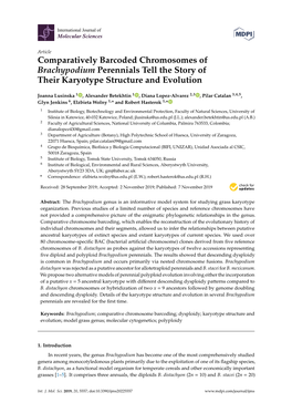 Comparatively Barcoded Chromosomes of Brachypodium Perennials Tell the Story of Their Karyotype Structure and Evolution