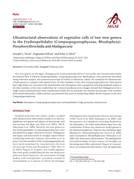 Compsopogonophyceae, Rhodophyta): Pseudoerythrocladia and Madagascaria