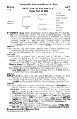 DARK BAY OR BROWN FILLY Barn 14 Hip No