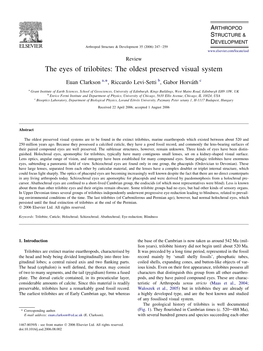 The Eyes of Trilobites: the Oldest Preserved Visual System