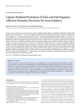 Calpain-Mediated Proteolysis of Talin and FAK Regulates Adhesion Dynamics Necessary for Axon Guidance