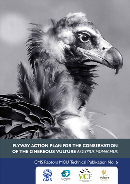 Flyway Action Plan for the Conservation of the Cinereous Vulture Aegypius Monachus