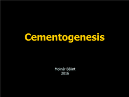 Cementogenesis