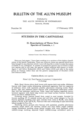 Studies in the Castniidae