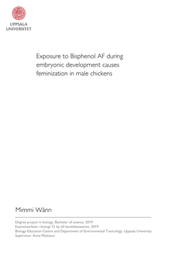 Exposure to Bisphenol AF During Embryonic Development Causes Feminization in Male Chickens