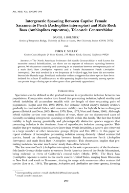 Archoplites Interruptus) and Male Rock Bass (Ambloplites Rupestrus), Teleostei: Centrarchidae
