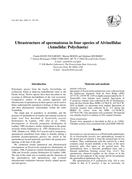 Ultrastructure of Spermatozoa in Four Species of Alvinellidae (Annelida: Polychaeta)