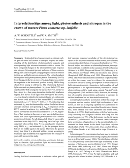 Interrelationships Among Light, Photosynthesis and Nitrogen in the Crown of Mature Pinus Contorta Ssp