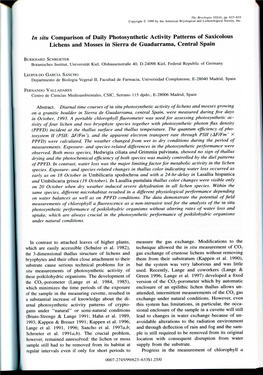 In Situ Comparison of Daily Photosynthetic Activity Patterns of Saxicolous Lichens and Mosses in Sierra De Guadarrama, Central Spain