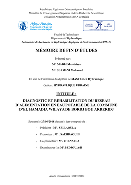 Diagnostic Et Réhabilitation Du Réseau D'alimentation En Eau Potable De La Commune D'el Hamadia