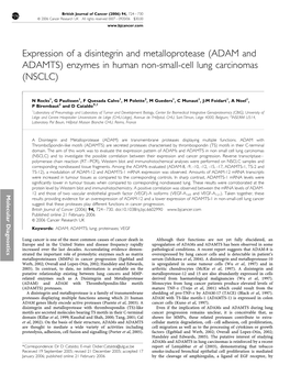 ADAM and ADAMTS) Enzymes in Human Non-Small-Cell Lung Carcinomas (NSCLC)