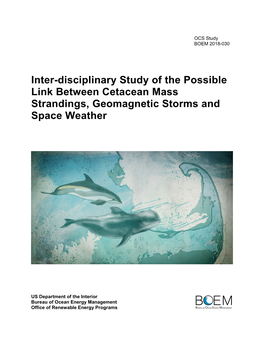 Inter-Disciplinary Study of the Possible Link Between Cetacean Mass Strandings, Geomagnetic Storms and Space Weather