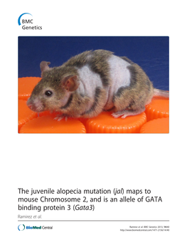 The Juvenile Alopecia Mutation (Jal) Maps to Mouse Chromosome 2, and Is an Allele of GATA Binding Protein 3 (Gata3) Ramirez Et Al
