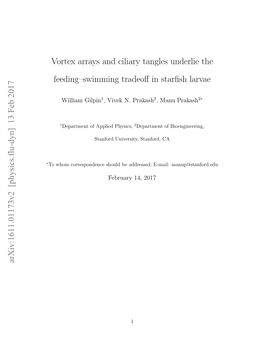 Vortex Arrays and Ciliary Tangles Underlie the Feeding–Swimming Tradeoﬀ in Starﬁsh Larvae