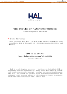 THE FUTURE of NANOTECHNOLOGIES Vincent Mangematin, Steve Walsh
