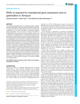 Rarγ Is Required for Mesodermal Gene Expression Prior to Gastrulation in Xenopus Amanda Janesick1,*, Weiyi Tang1,‡, Toshi Shioda2 and Bruce Blumberg1,3,§