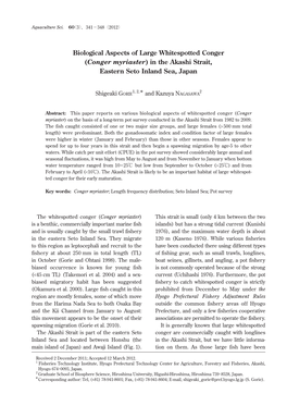 Biological Aspects of Large Whitespotted Conger (Conger Myriaster) in the Akashi Strait, Eastern Seto Inland Sea, Japan