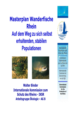 Masterplan Wanderfische Rhein Auf Dem Weg Zu Sich Selbst Erhaltenden, Stabilen Populationen