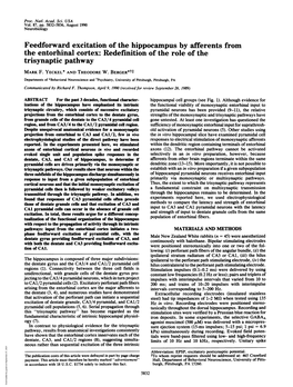 Feedforward Excitation of the Hippocampus by Afferents from the Entorhinal Cortex: Redefinition of the Role of the Trisynaptic Pathway MARK F